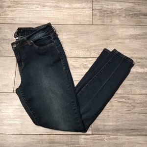 Torrid Jeans Skinny